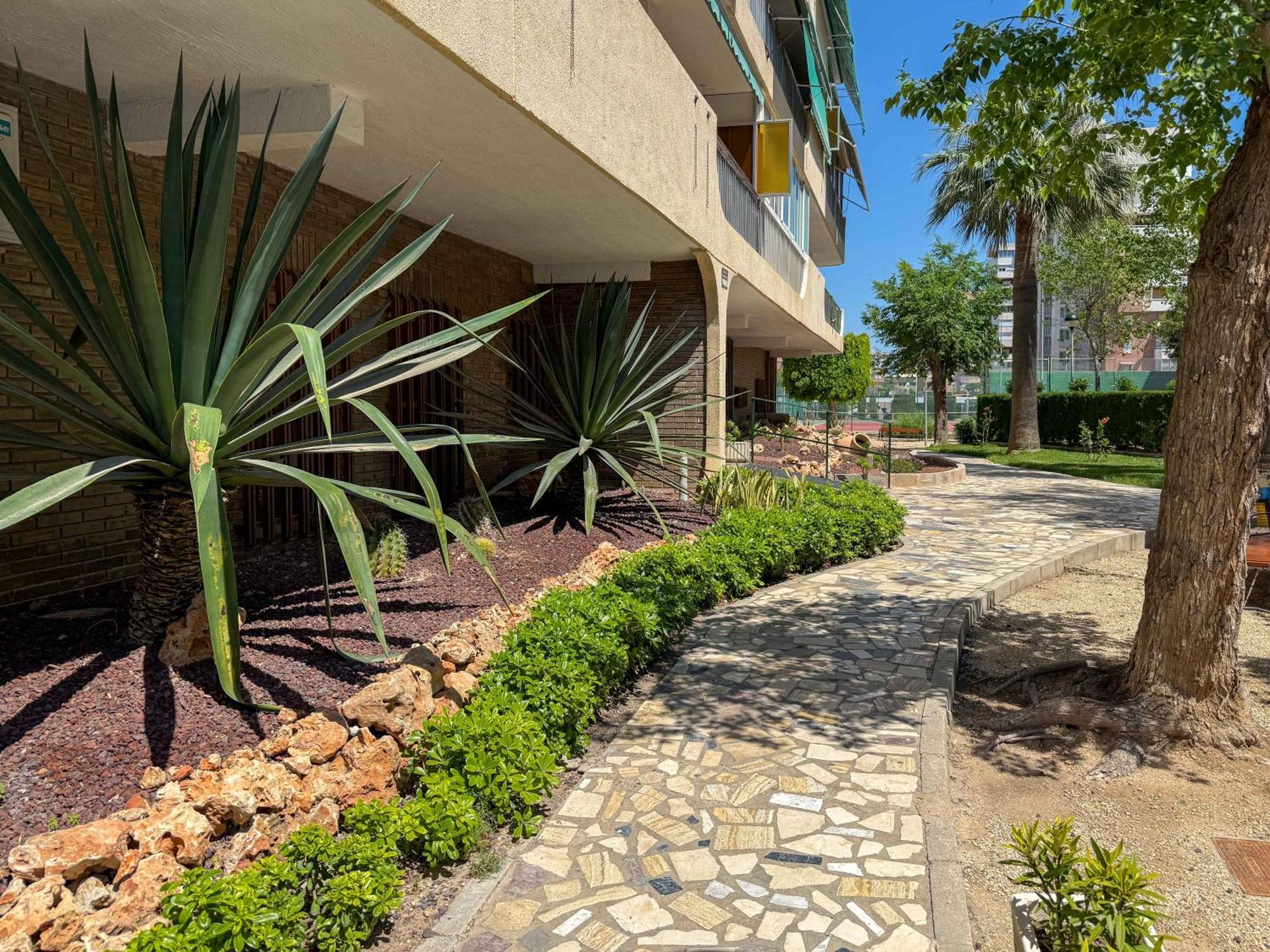 Encantador Y Coqueto Loft A 8 Min. De La Playa. Alicante Ngoại thất bức ảnh